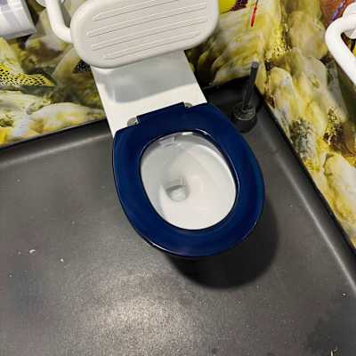 Toilet installation